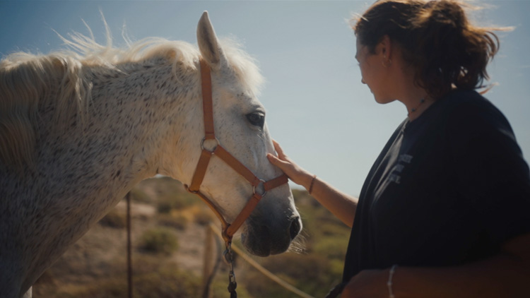 Tenerife Horse Rescue